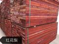 紅花梨